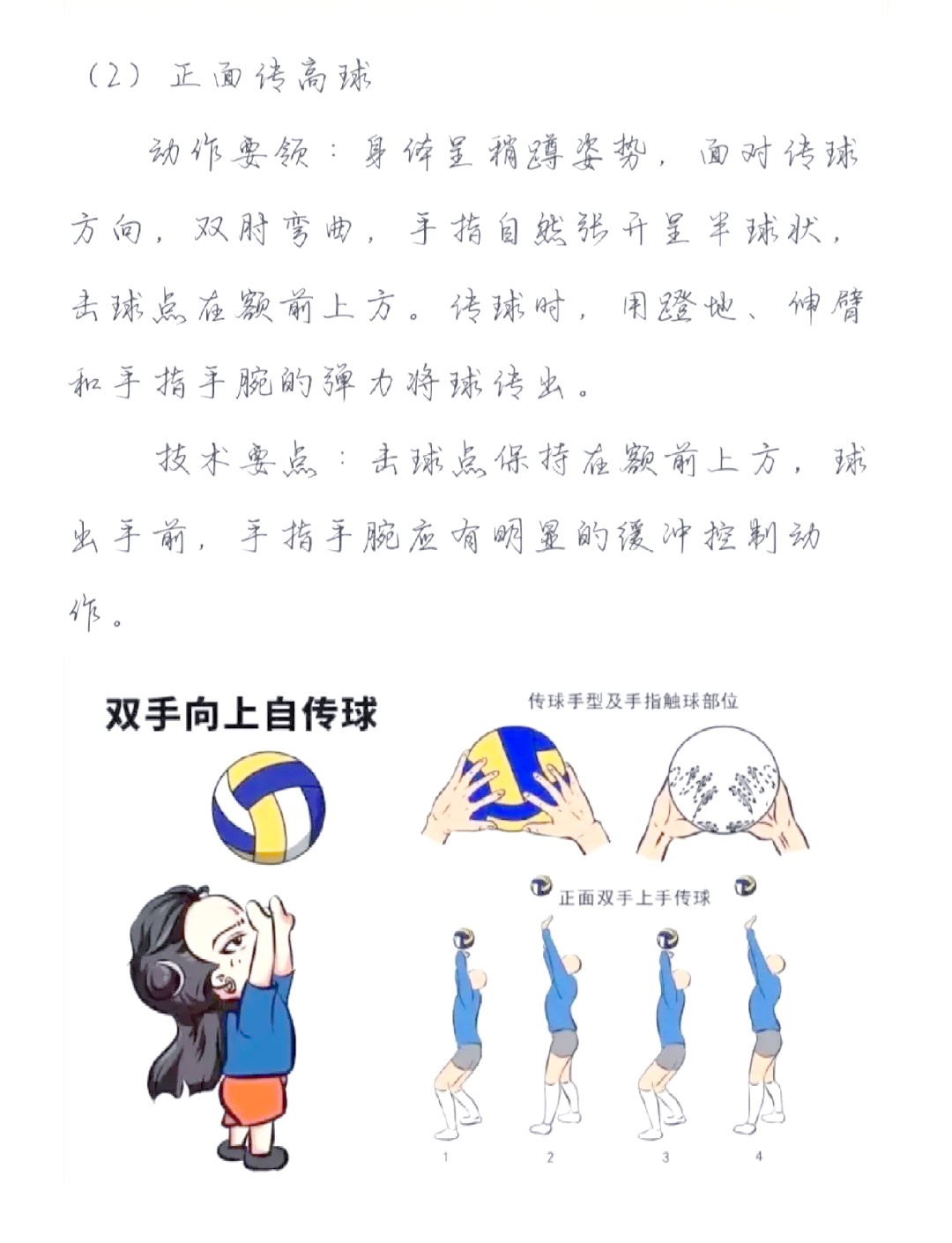儿童篮球爱好者如何从小培养获奖能力_0
